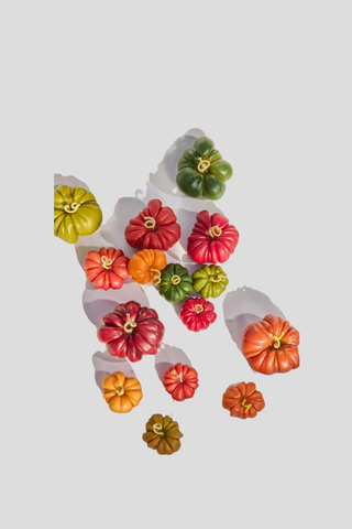 Poppy & Sage Heirloom Tomato Trio
