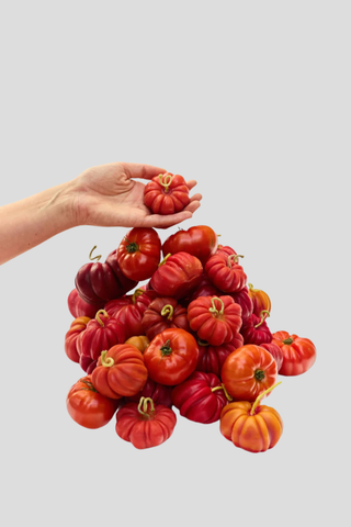 Poppy & Sage Heirloom Tomato Trio