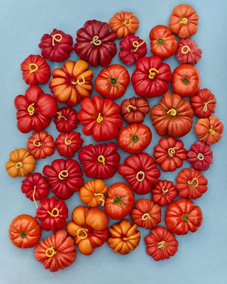 Poppy & Sage Heirloom Tomato Red - Large
