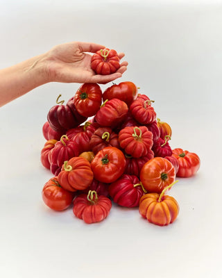 Poppy & Sage Heirloom Tomato Red - Large