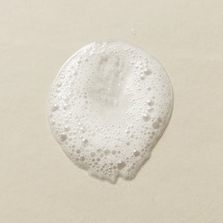 CZE Hair by Chloe Zara Silk Hair Wash